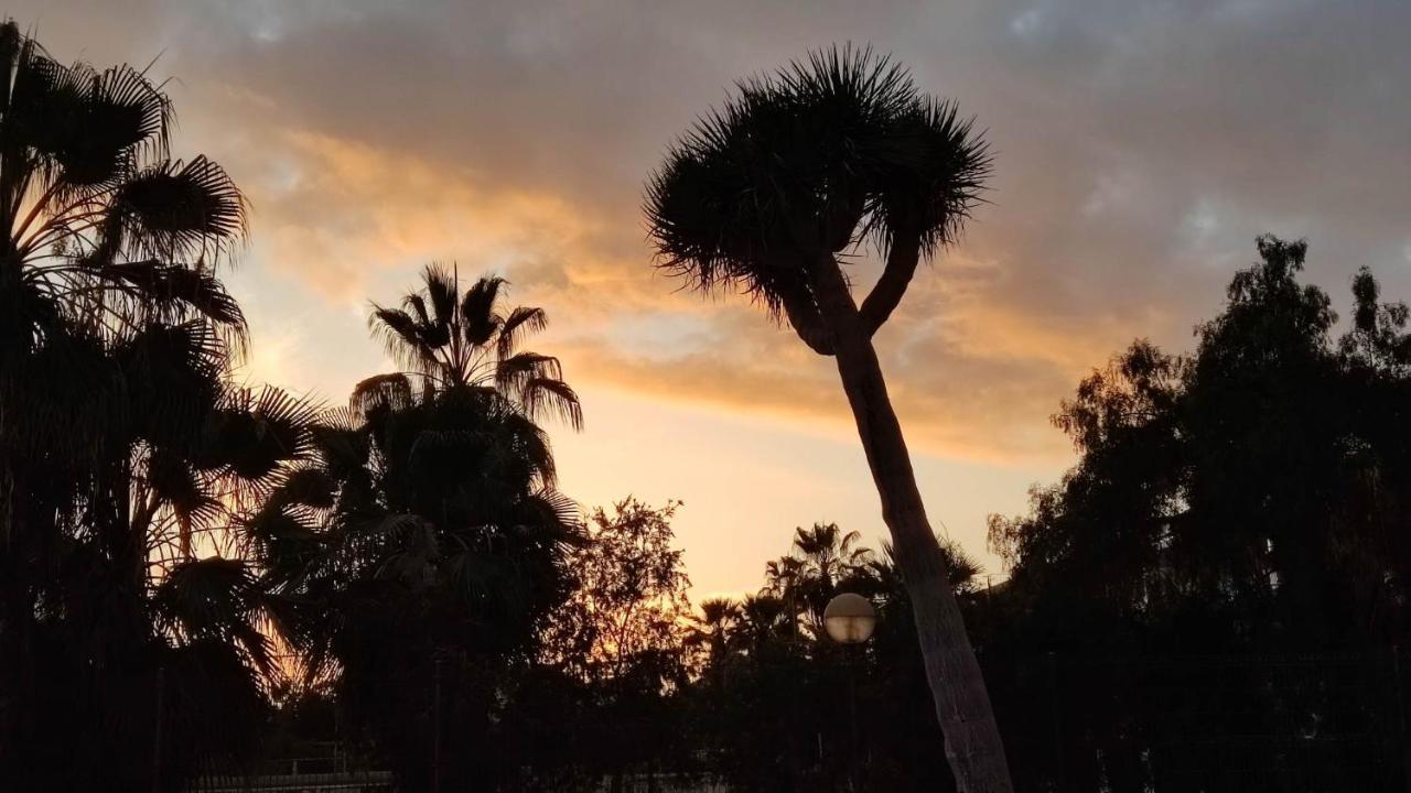 Paraiso Altemar, Duplex Las Americas Playa de las Americas  Zewnętrze zdjęcie