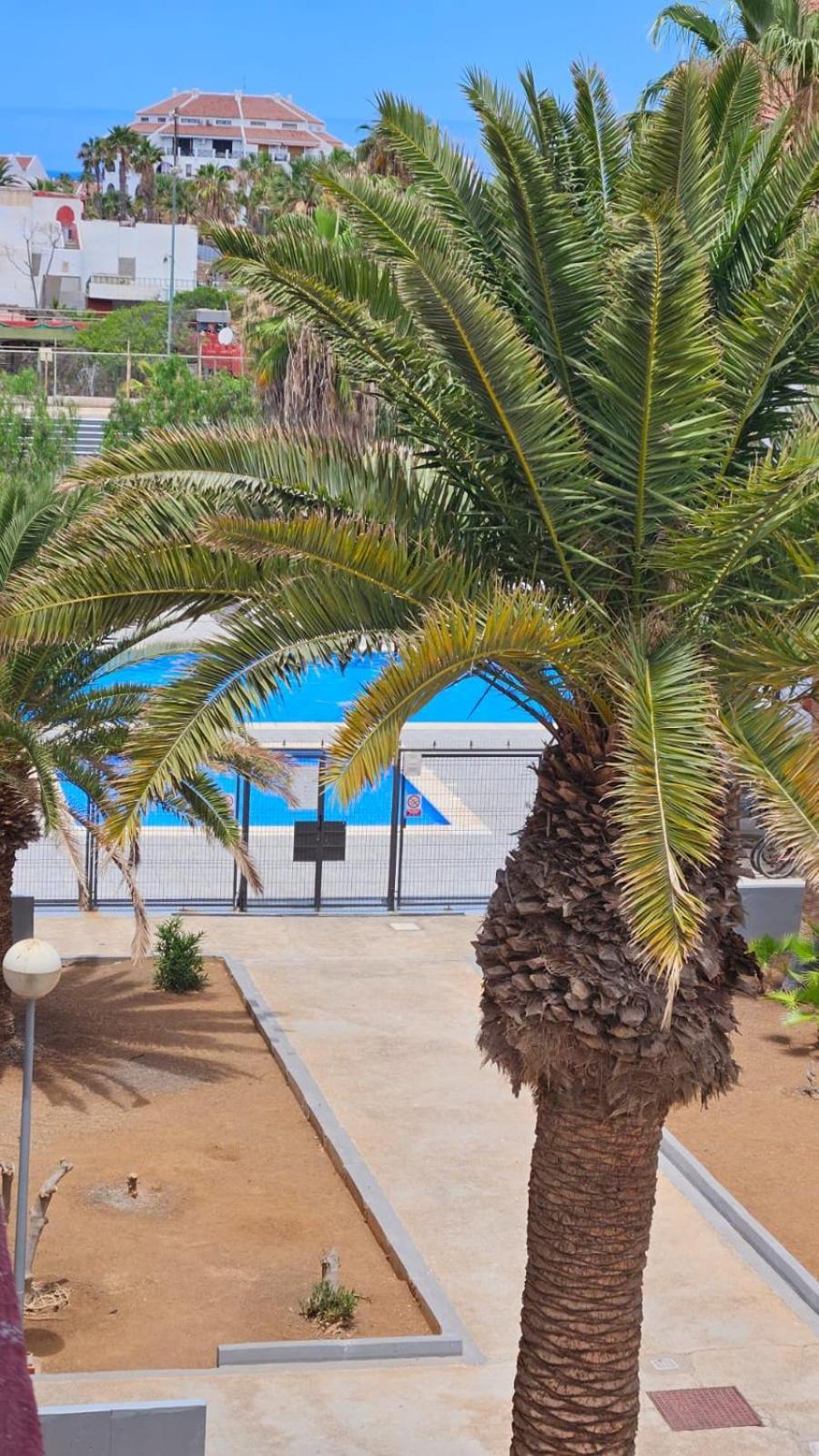 Paraiso Altemar, Duplex Las Americas Playa de las Americas  Zewnętrze zdjęcie